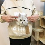 Pet Carrier Hoodie