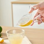 Acrylic manual lemon slice juicer