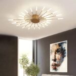 Firework shape ceiling lamp