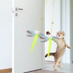 Hanging Bouncing Cats Toy