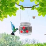 Hummingbird water feeder