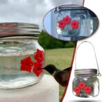 Hummingbird water feeder