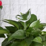 Bird Shaped Plant Self Watering Glass Globes