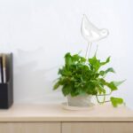 Bird Shaped Plant Self Watering Glass Globes