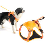 Dog Harness and Retractable Leash Set All-in-One