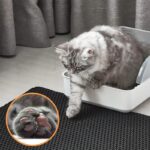 Waterproof Cat Litter Mat