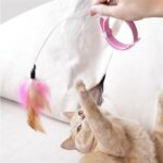 Cat Interactive Feather Collar Teaser Toy