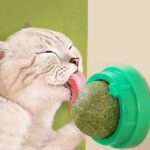 Catnip Balls