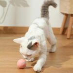 Electric Cat Ball Toy