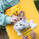 Bee Cat Carrier Bag