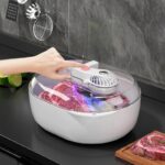 Food Preservation Defroster