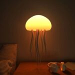 Floating Medusa Lamp